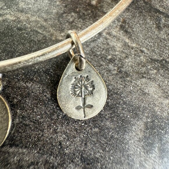 Alex and Ani Apple Charm Bracelet Silver Nature Expandable Bangle - Picture 8 of 14